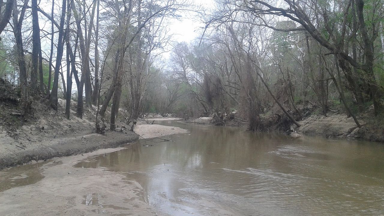 The West Fork of the San Jacinto River viewed from McDade Park in Conroe, Texas, flowing through the rural residential landscape of Montgomery County